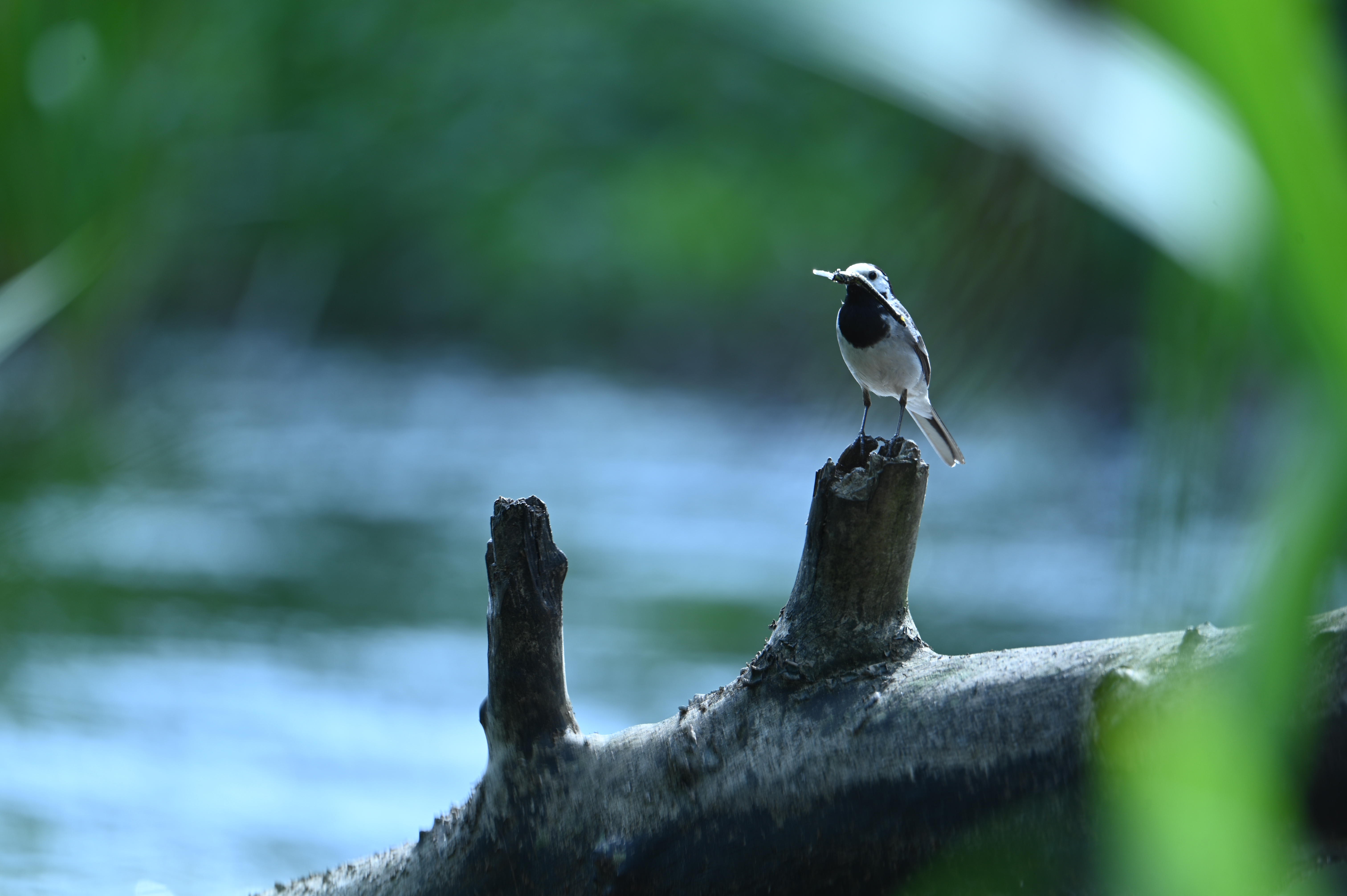 2025/07/09-14 - trip/DSC_0472.JPG